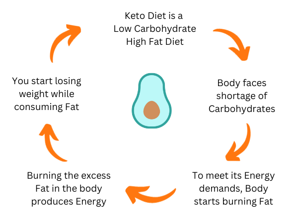 Understanding the Root Cause